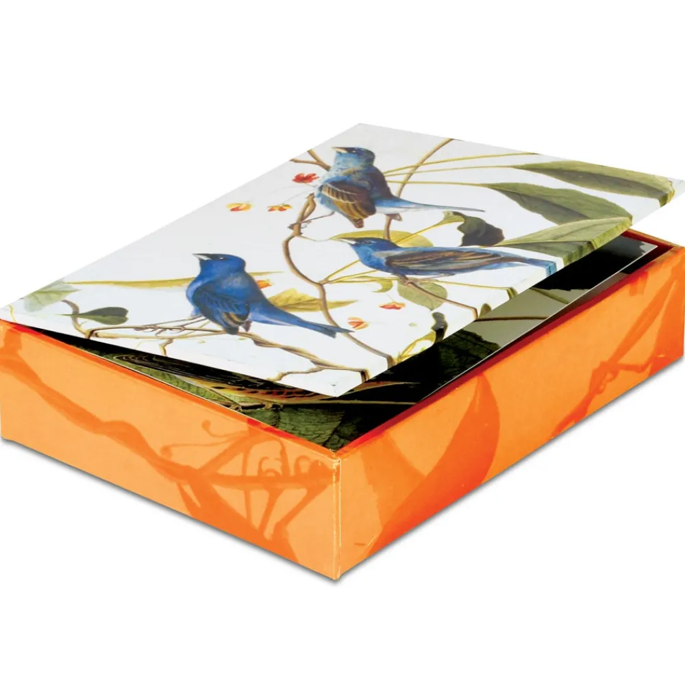 Audubon Birds Notecards*The Met Store Clearance