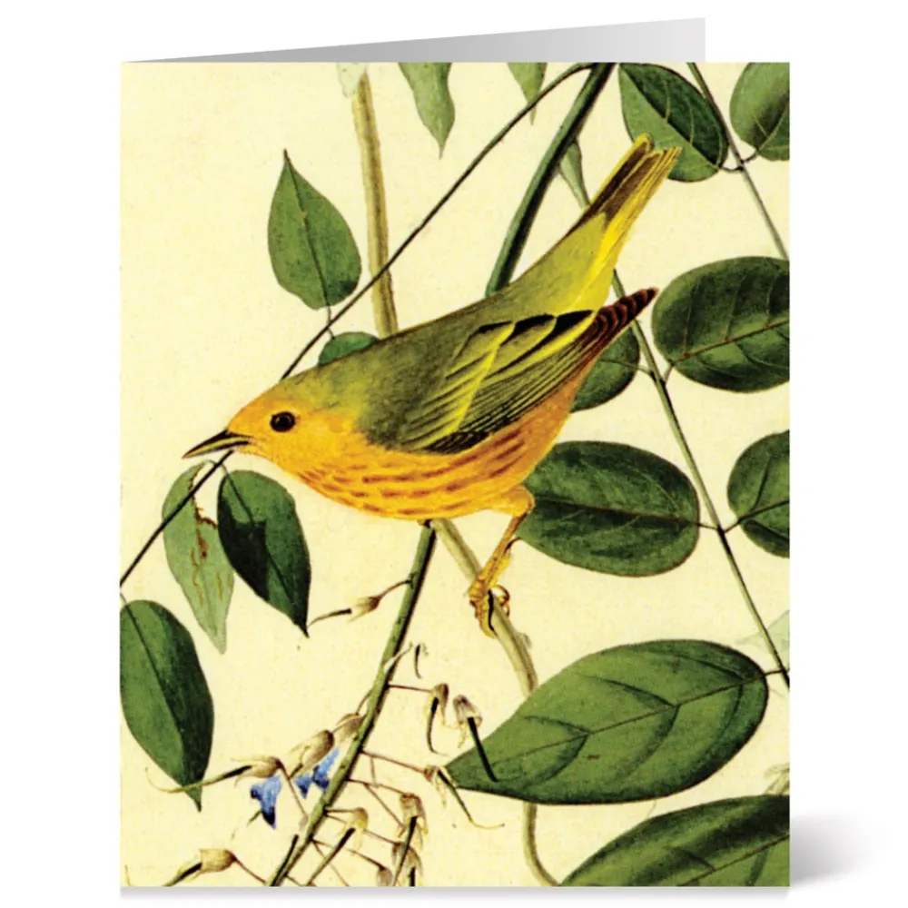 Audubon Birds Notecards*The Met Store Clearance