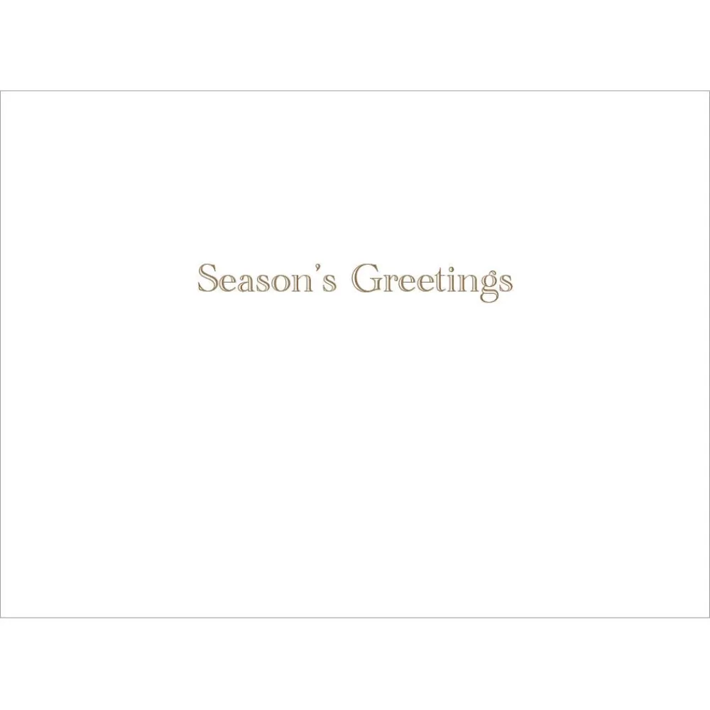 Brockman: Park in Winter Holiday Cards*The Met Store Shop