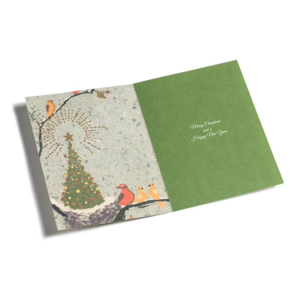 Dehn: Avian Holiday Cards*The Met Store Clearance