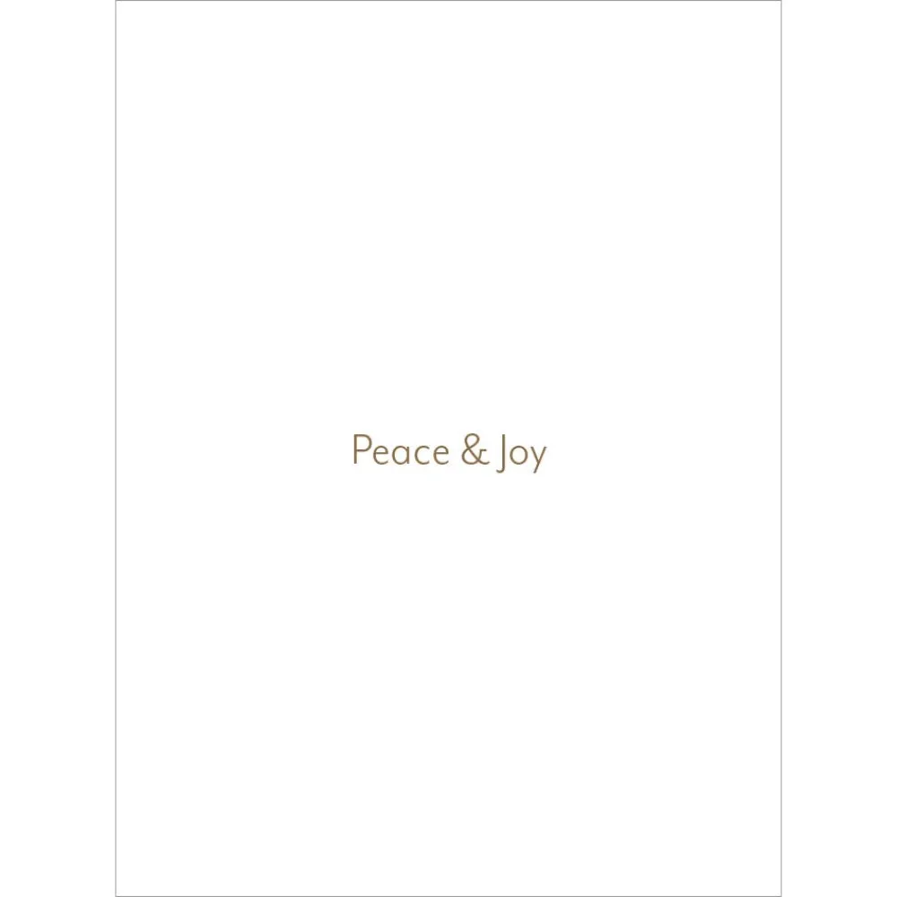 Earle: Blue Doves of Peace Holiday Cards*The Met Store New