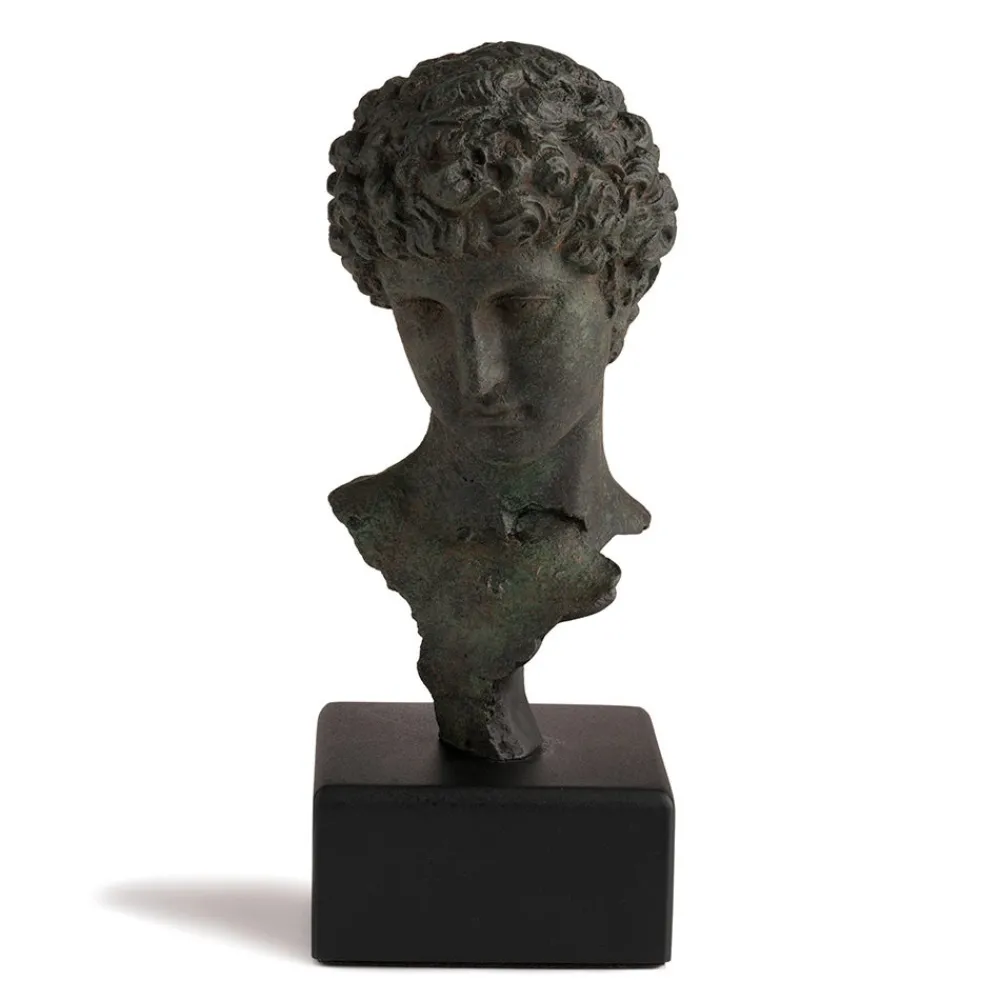 Head of a Youth Sculpture*The Met Store Store