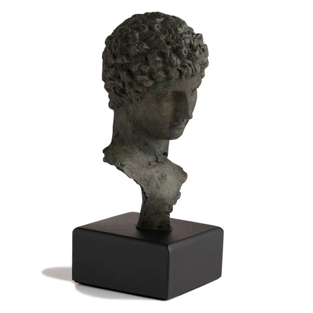 Head of a Youth Sculpture*The Met Store Store