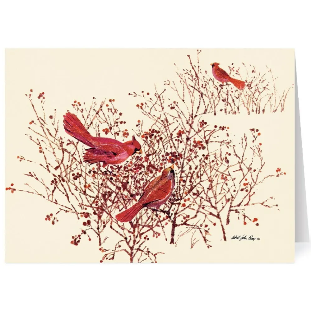 Pucci: Bushes, Berries, and Birds Holiday Cards*The Met Store Shop